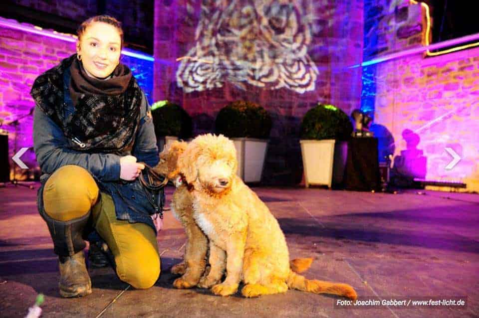 Photo woman with two dogs