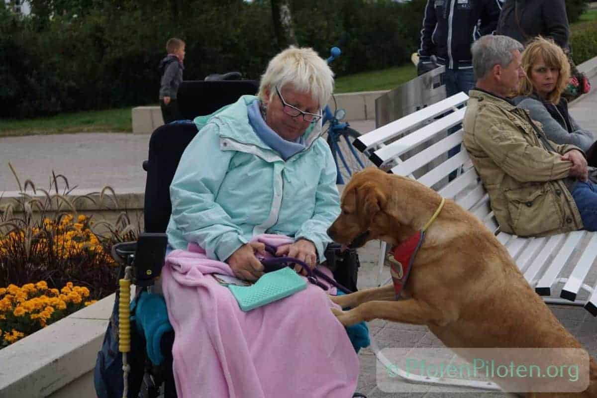 Foto mit einer Frau im Rollstuhl und einem Hund