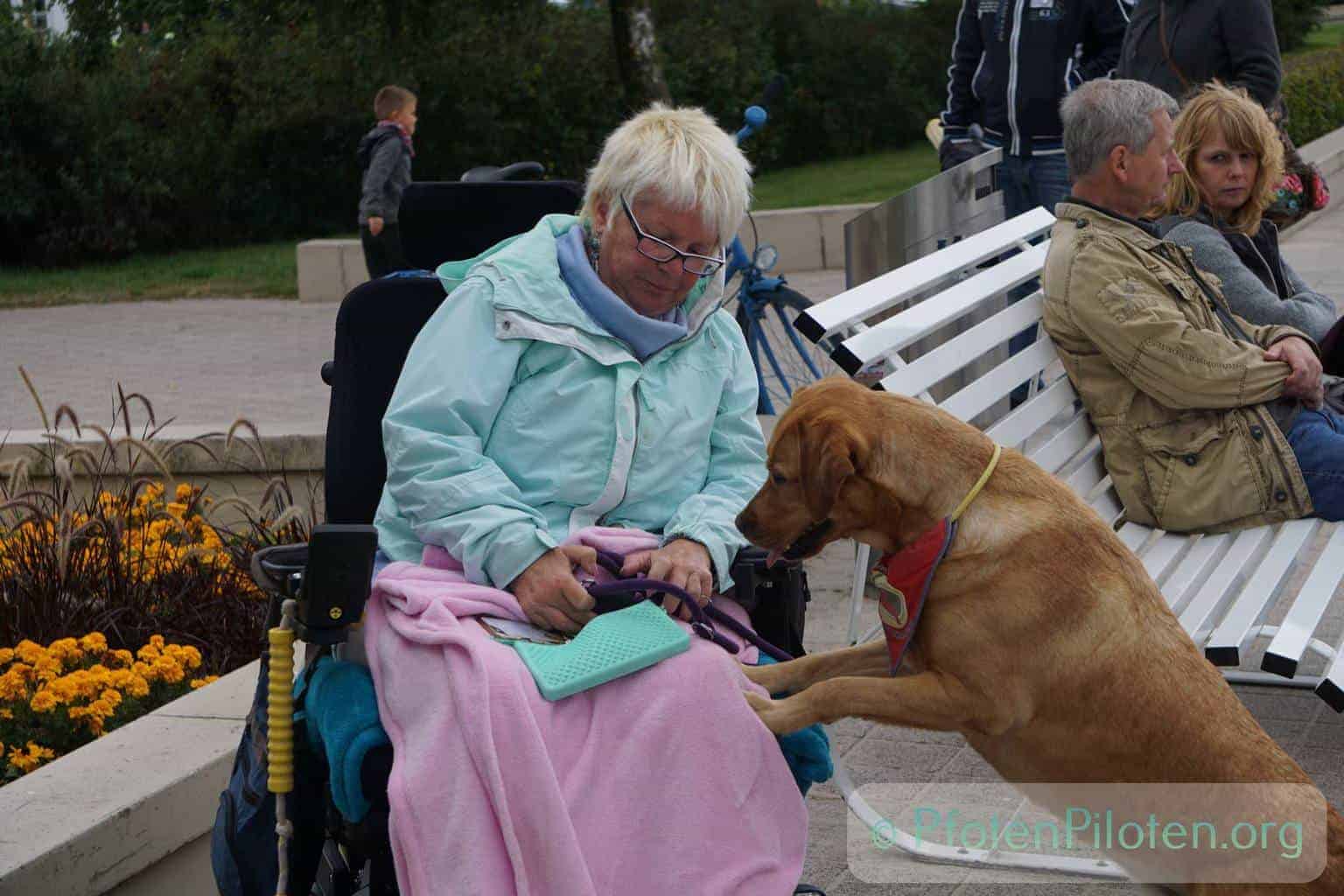Photo with woman in wheelchair and dog