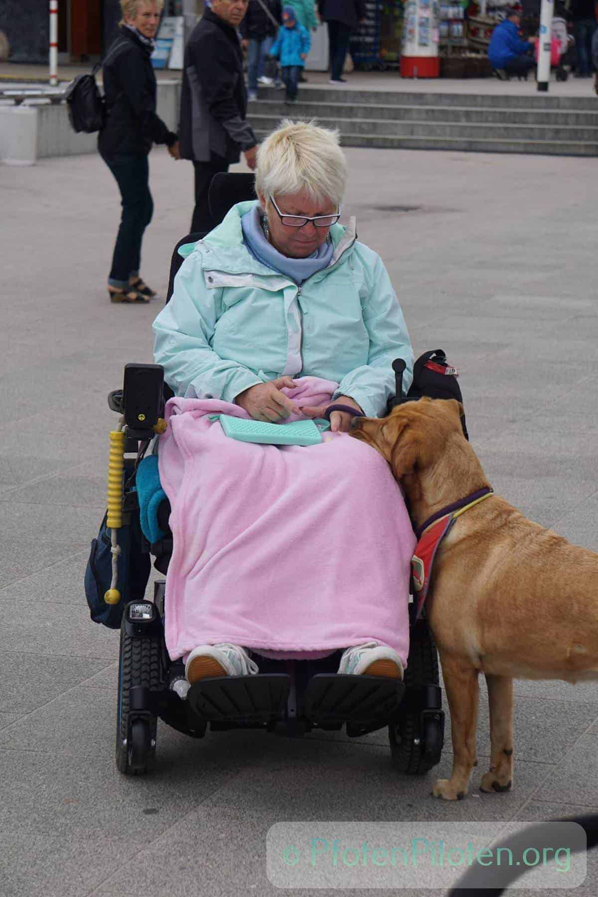 Photo assistance dog and woman