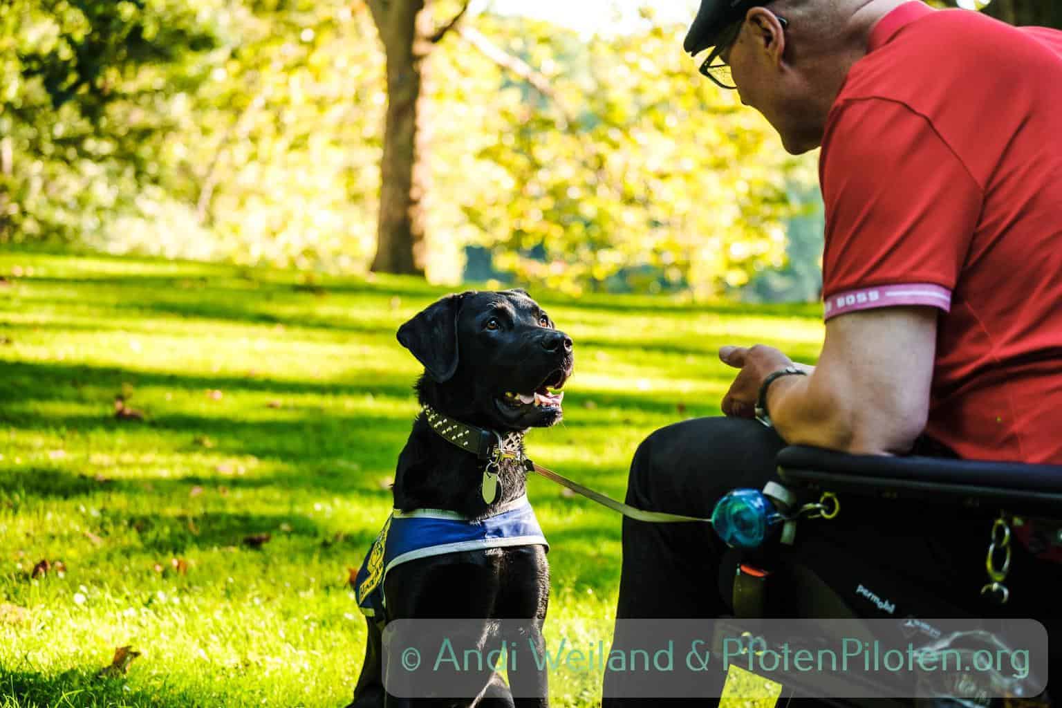 Photo Man talking to his assistance dog