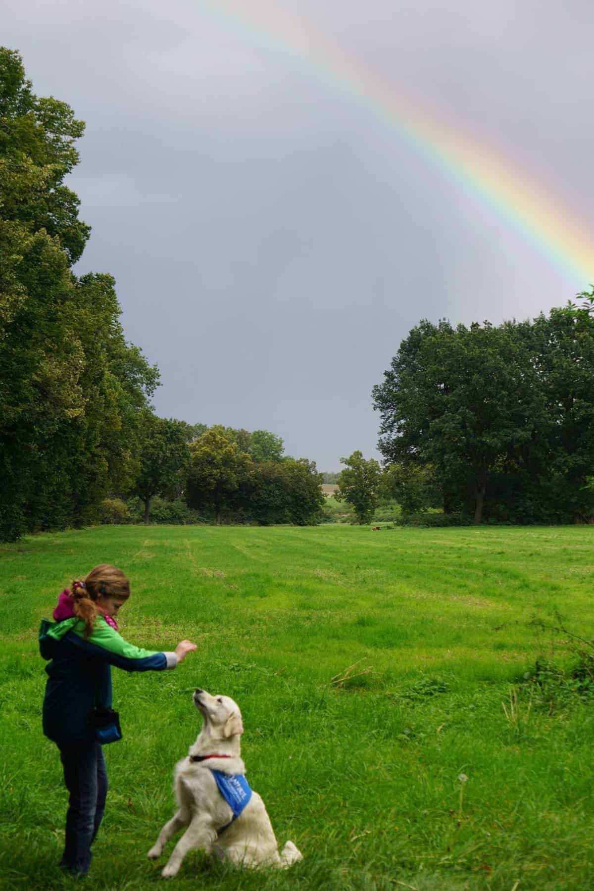 Foto junges Mädchen trainiert ihren Assistenzhund