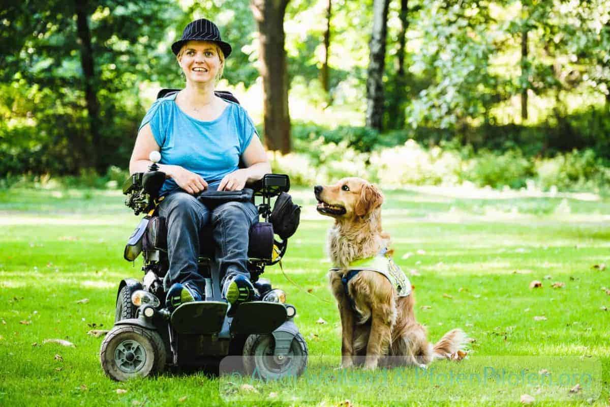 Foto Frau im Rollstuhl mit Assistenzhund