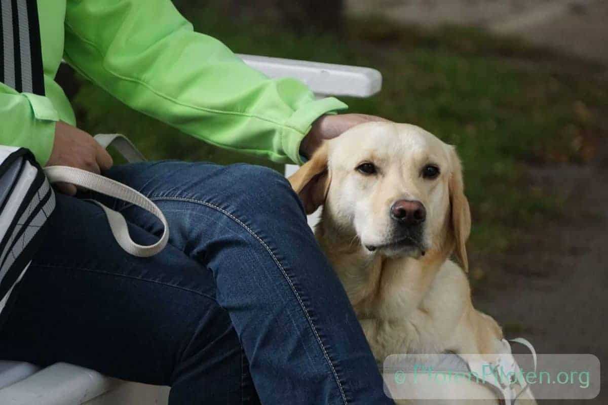 Foto Frau sitzt auf Bank mit Hund