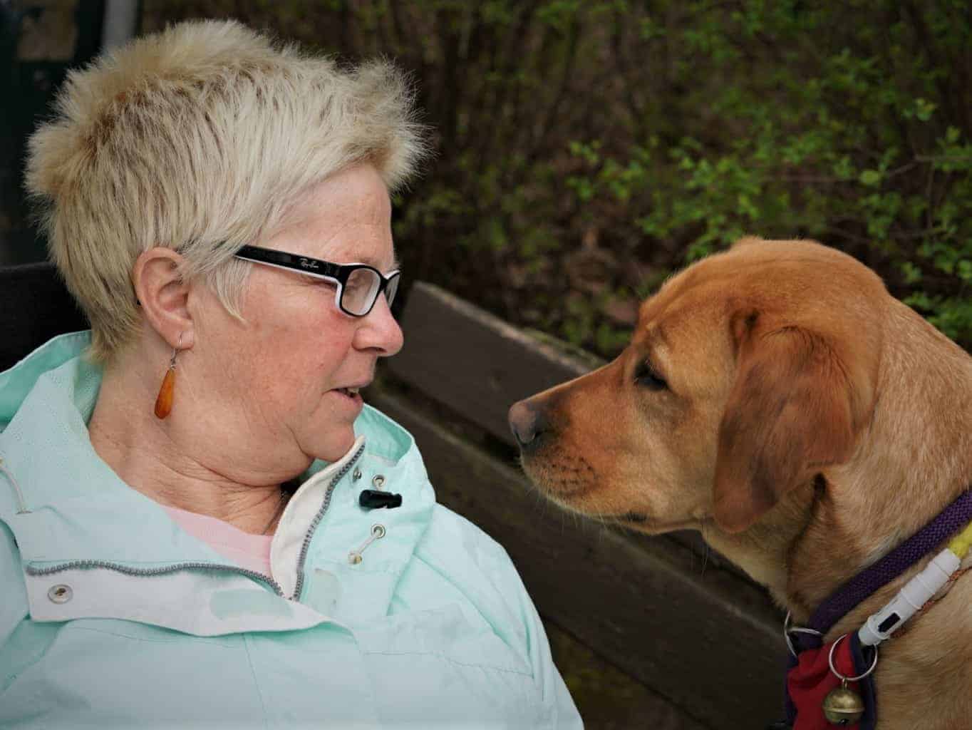 Photo dog and owner on bench :: In the photo, assistance dog and its owner look into each other's eyes while sitting on a bench.