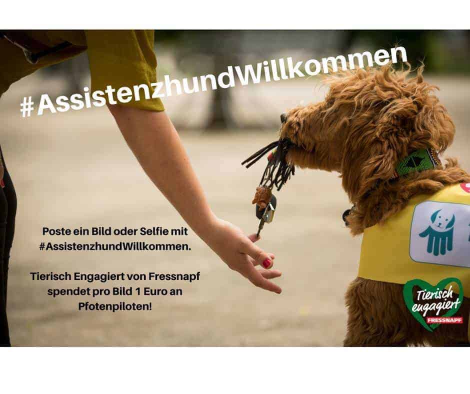 #Assistenzhund Willkommen