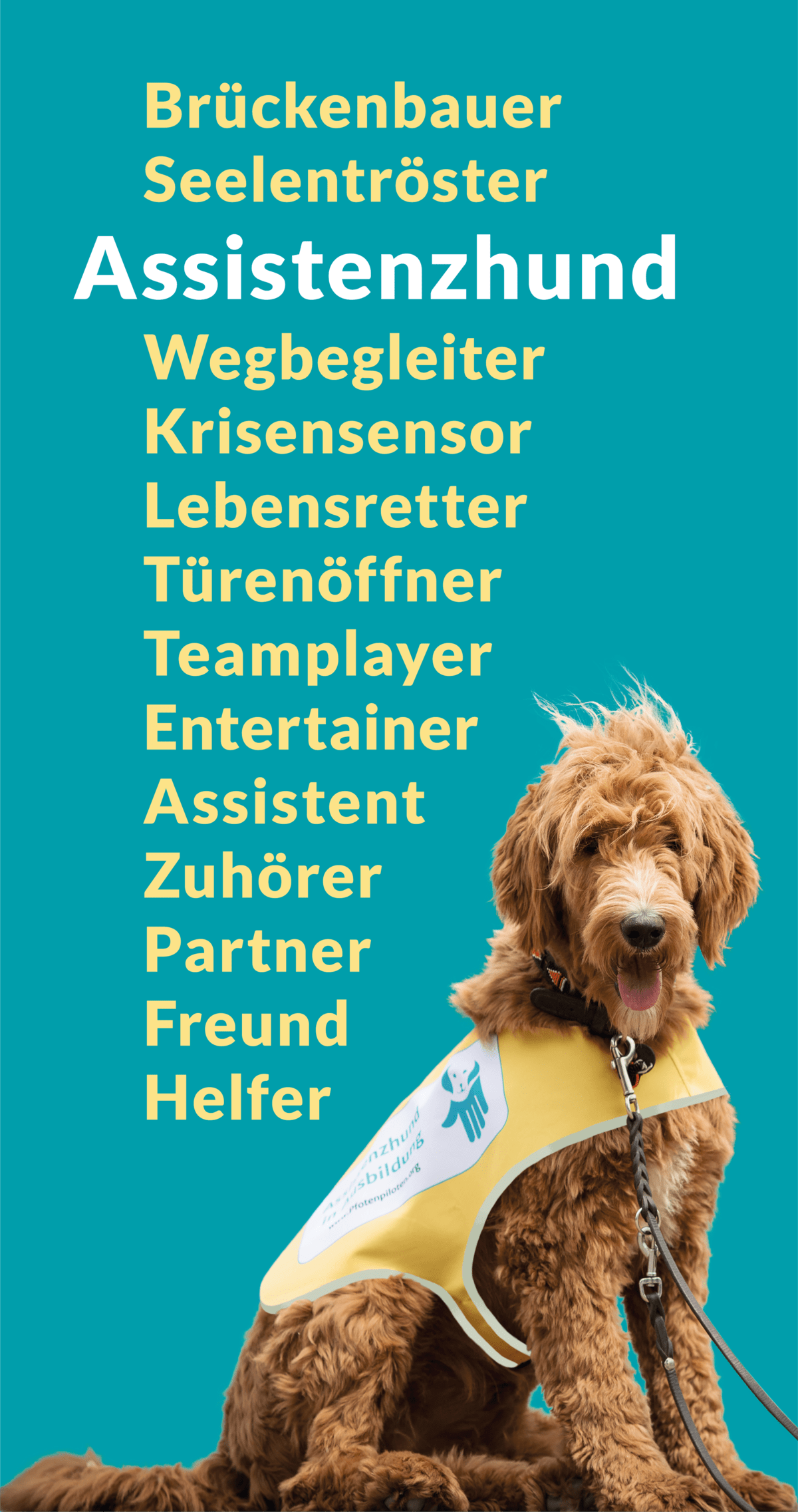 Graphic assistance dog synonyms :: Above and next to a light brown, shaggy Labradoodle assistance dog, along with the bold word 