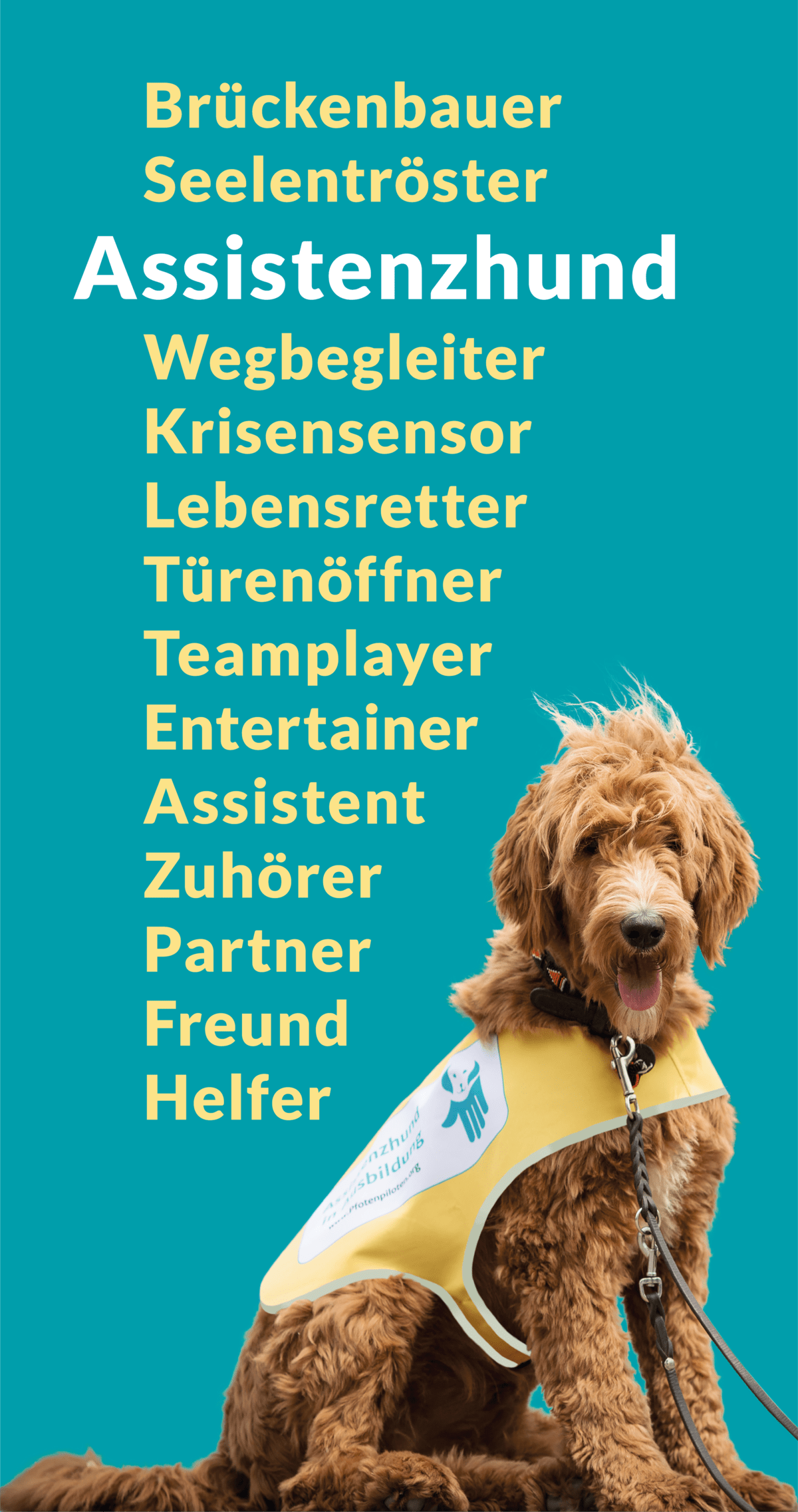 7 Barrieren zum Assistenzhund