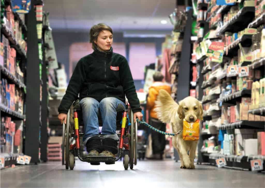 Assistenzhundteam im Supermarkt