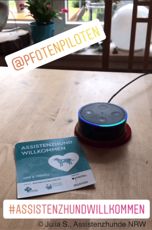 Alexa and the "Assistance Dogs Welcome" access campaign