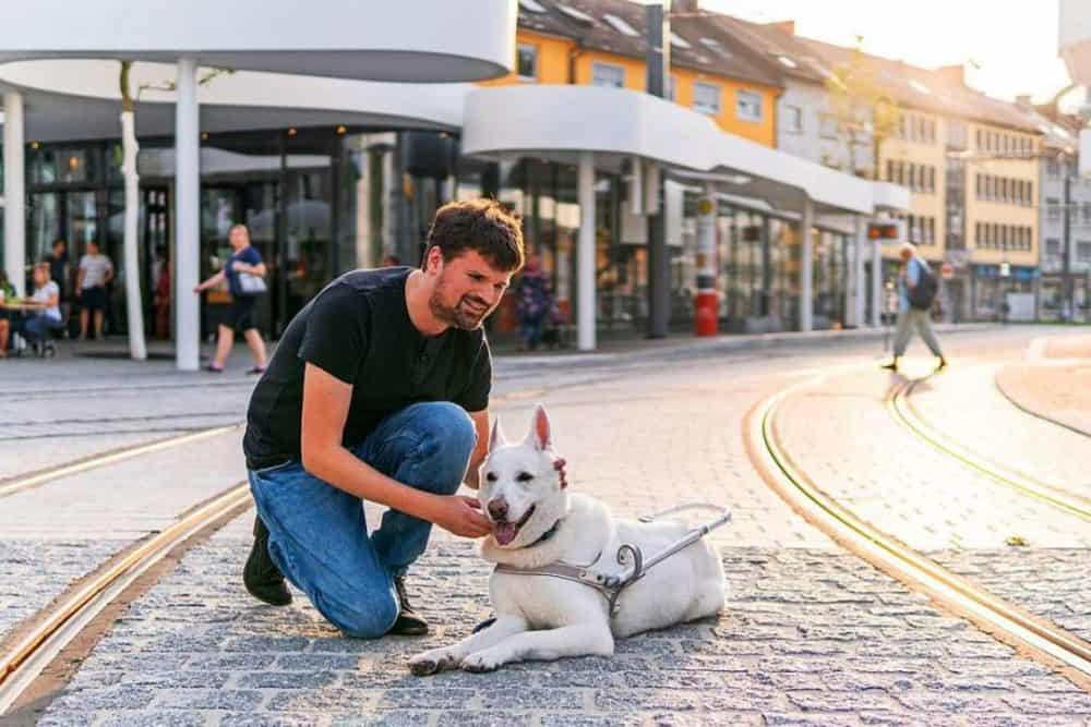 Guide dog team in assistance dog friendly Freiburg