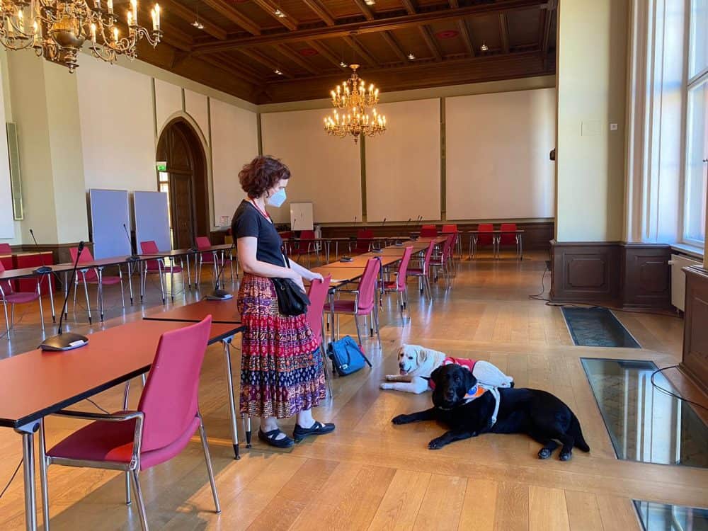 The dignified meeting room in the town hall is still empty. Hannah is standing at her place and Daika and Masha are lying in front of her.