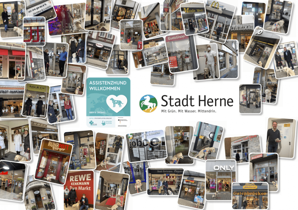 A carefully designed collage shows the Pfotenpiloten assistance dog welcome sticker in the middle, together with the logo and the word "Stadt Herne". Around it are arranged about 50 pictures of scenes where the sticker is placed on local shops and doctors' surgeries.