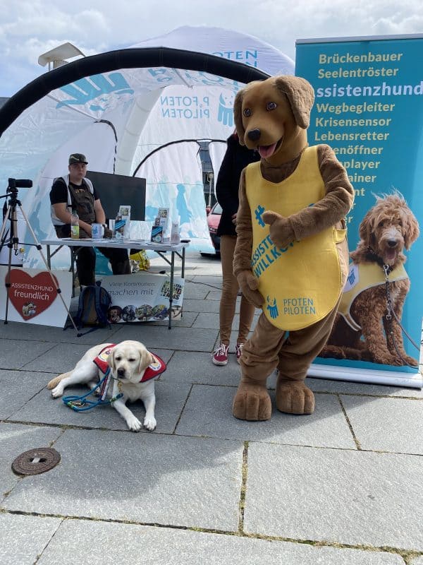 Mascot Benji is very happy with assistant dog Mascha at his side