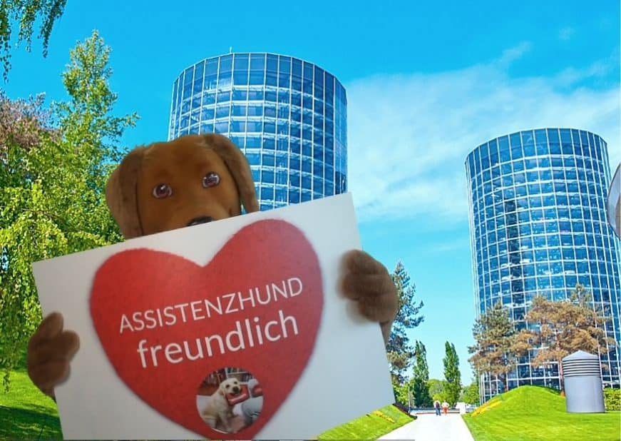 Maskottchen Benji mit Schild "Assistenzhund freundlich" steht vor Wolfsburg.