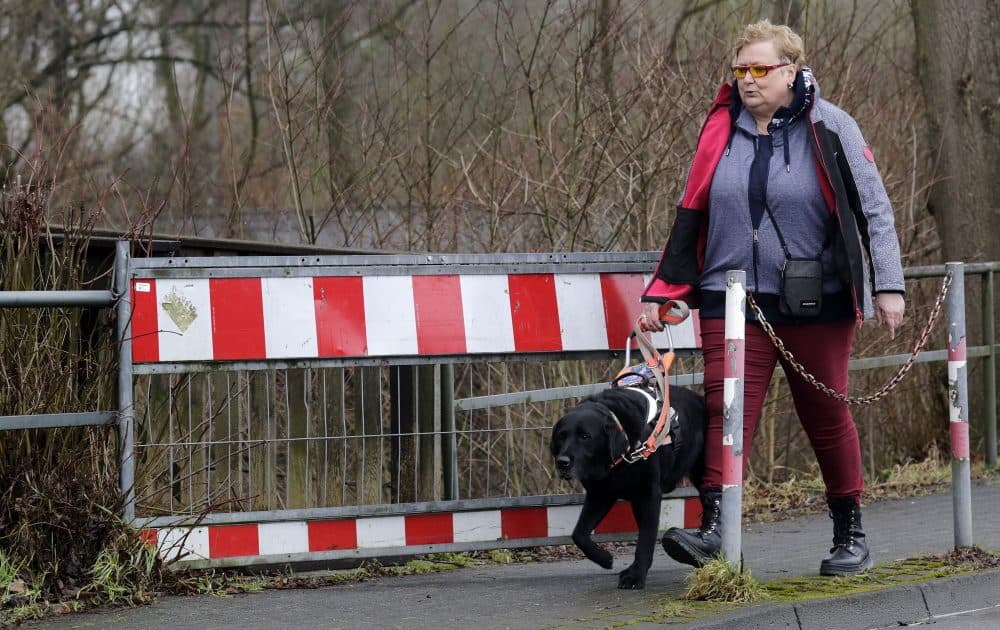 Woman with guide dog passes a construction site from right to left.