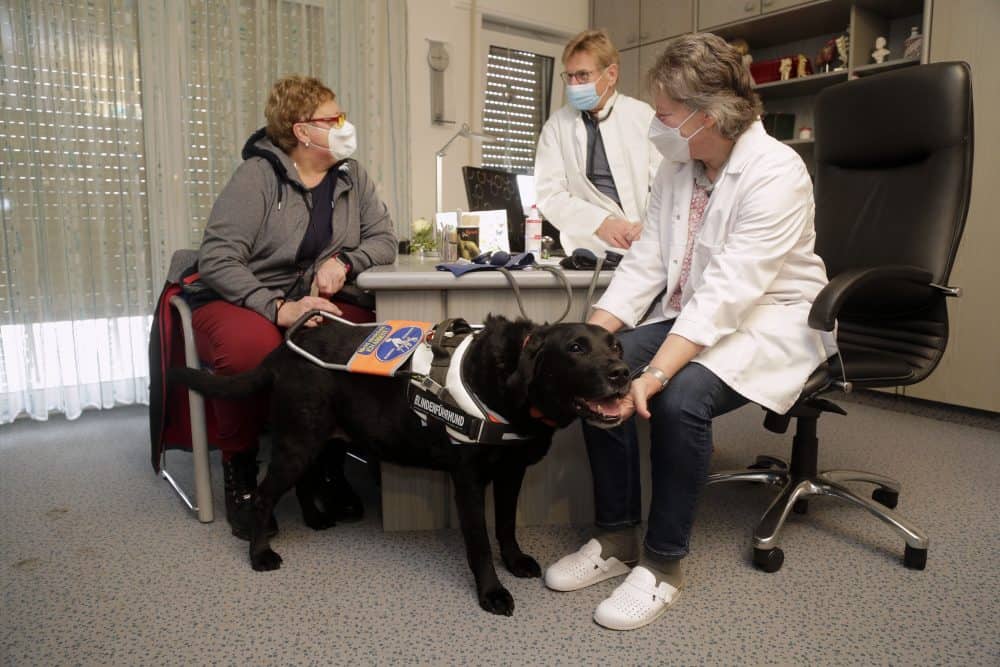 Guide dog team talking to a doctor in a surgery.