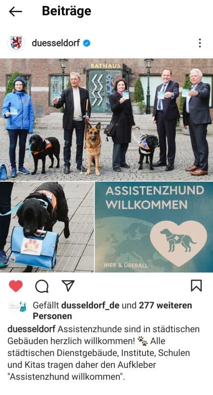 Ein Instagram-Post von Antenne Düsseldorf mit einem Bild und dem Text:
"Assistenzhunde sind in städtischen Gebäuden herzlich willkommen! Alle städtischen Dienstgebäude, Institute, Schulen und Kitas tragen daher den Aufkleber 'Assistenzhund willkommen'".