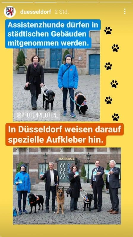 Eine Instagram-Story von @duesseldorf mit Bildern und dem Text:
"Assistenzhunde dürfen in städtischen Gebäuden mitgenommen werden. In Düsseldorf weisen darauf spezielle Aufkleber hin".