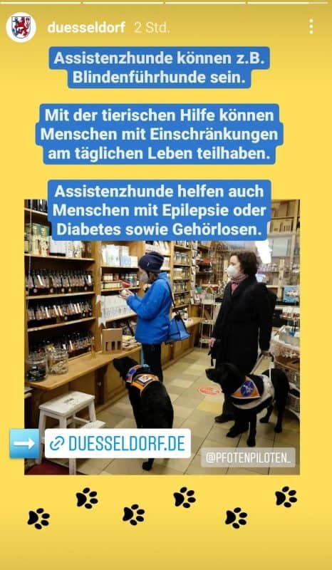 An Instagram story by @duesseldorf with pictures and the text:
"Assistance dogs can be guide dogs for the blind, for example. With animal help, people with disabilities can participate in daily life. Assistance dogs also help people with epilepsy or diabetes as well as the deaf.