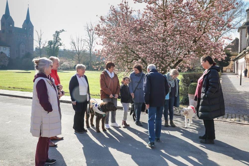 Eine Gruppe von Menschen und Assistenzhunden steht vor einem Schlossgarten. Ein Guide spricht mit ihnen.