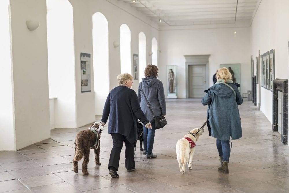 Drei Assistenzhundteams laufen nebeneinander durch die Gänge des Schlosses