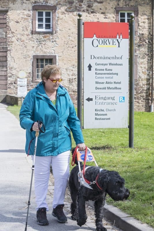 Vor dicken Schlossmauern läuft eine Führhundhalterin mit Führhund