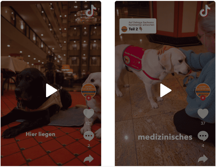 Ausschnitt von zwei TikTok Videos mit Assistenzhunden.
