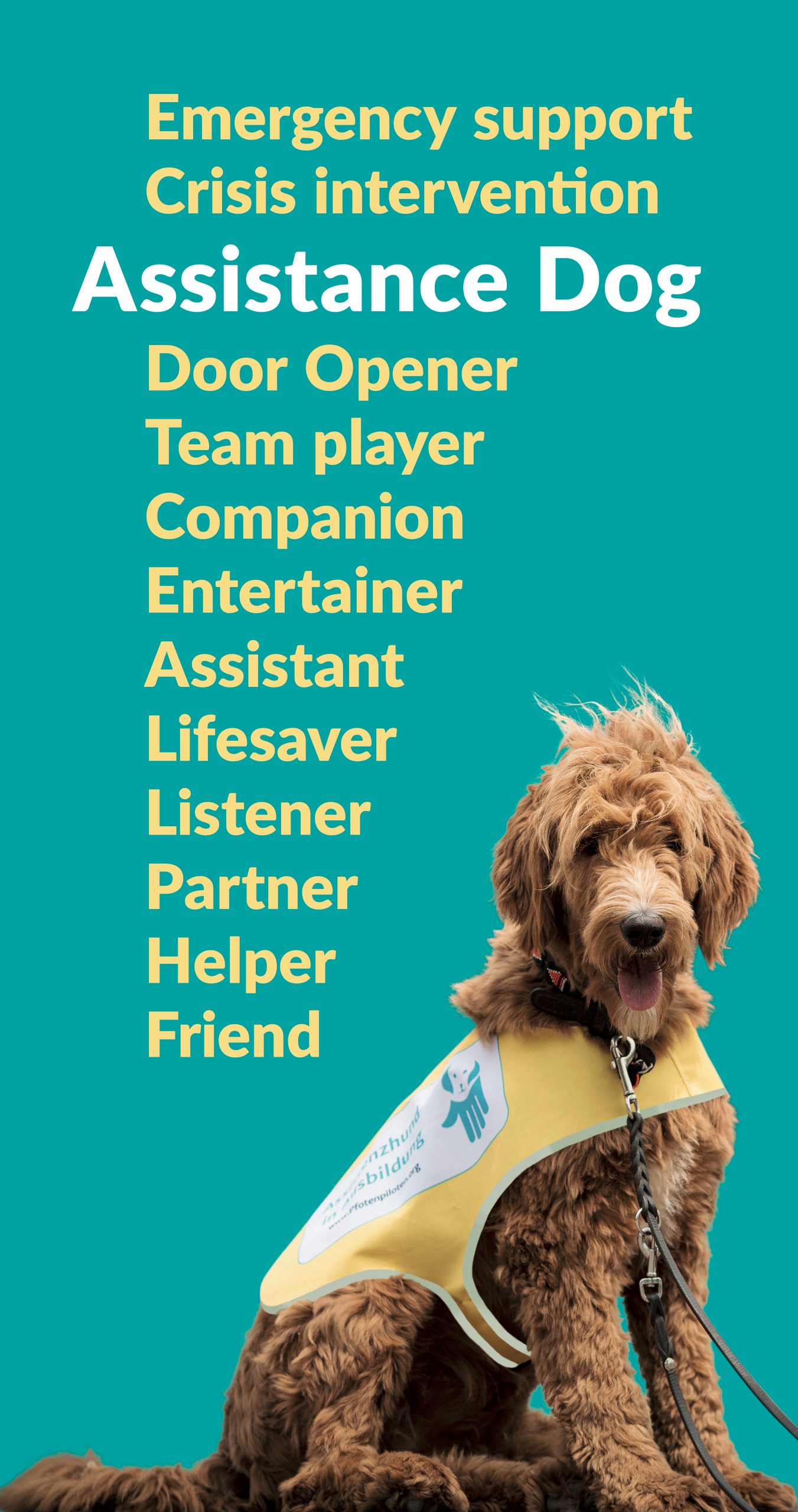 pies Inka assistance dog attributes