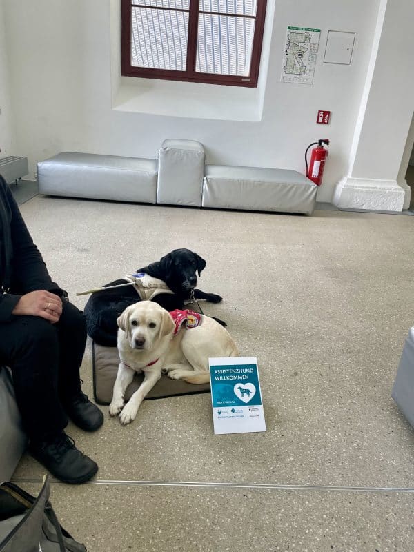 Daika and Mascha and Dr. Reuter are waiting in the entrance area of the Military History Museum.