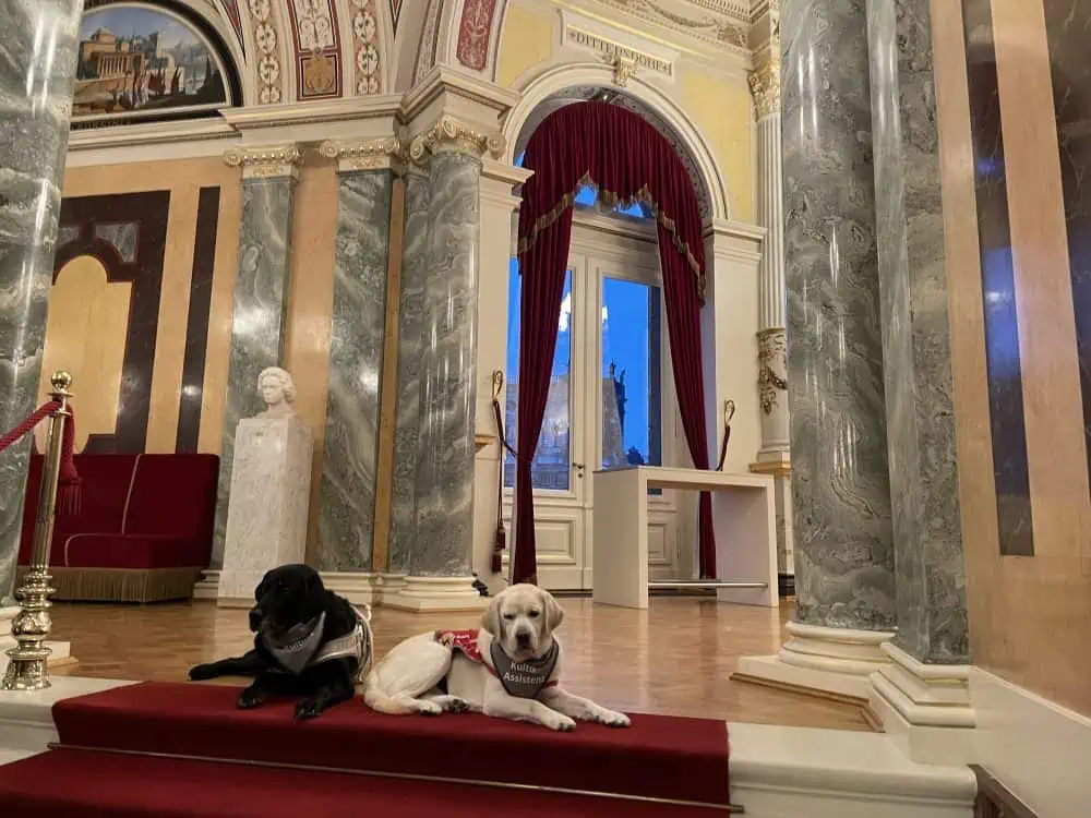Daika and Masha lie on a red velvet carpet in the opulent Semper Opera House.