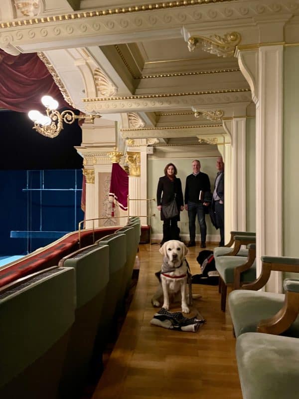 Employees of the Semperoper inspect seats with us to check their suitability for assistance dog teams. Daika and Masha lie in the foreground.