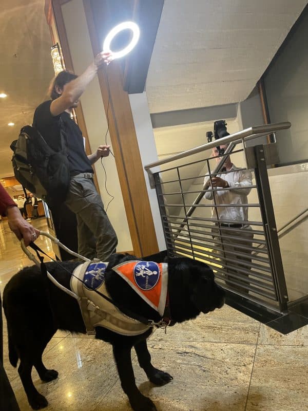 Man sieht eine historische Treppe im MaritimHotel mit Daika und Beleuchtungsassistenz und Kameramann.