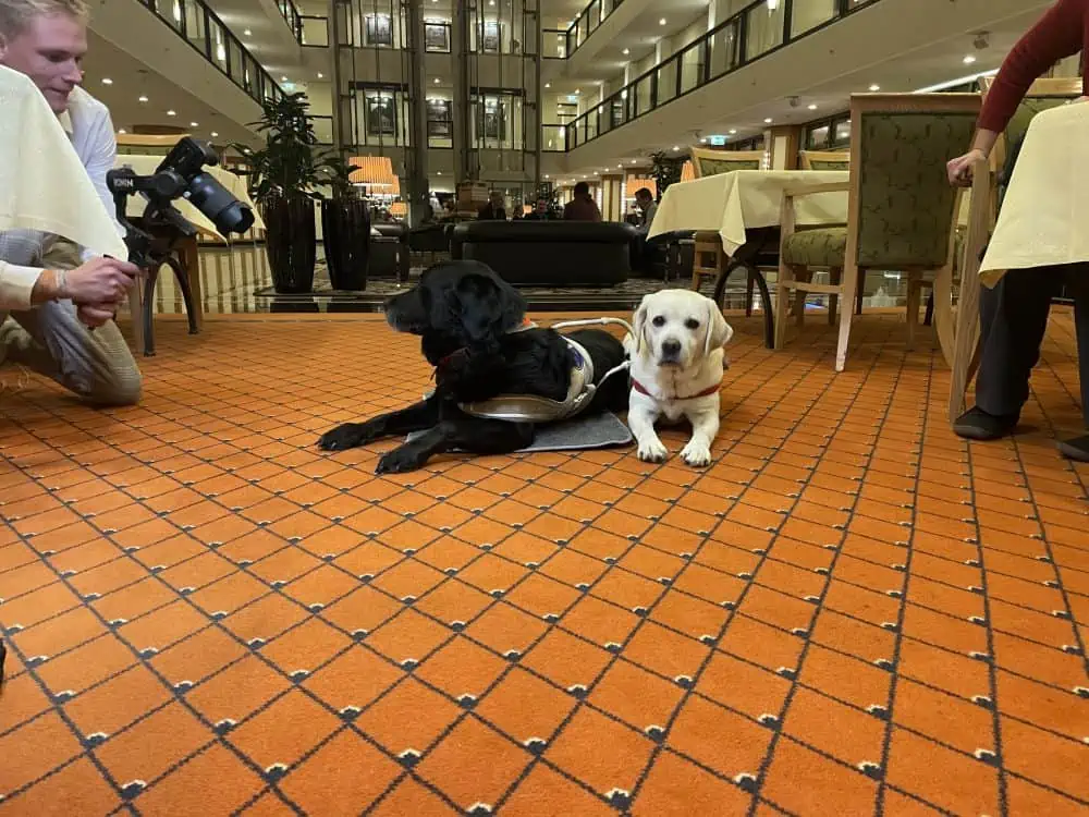 Daika and Mascha lie in the foyer of the Maritimhotel.