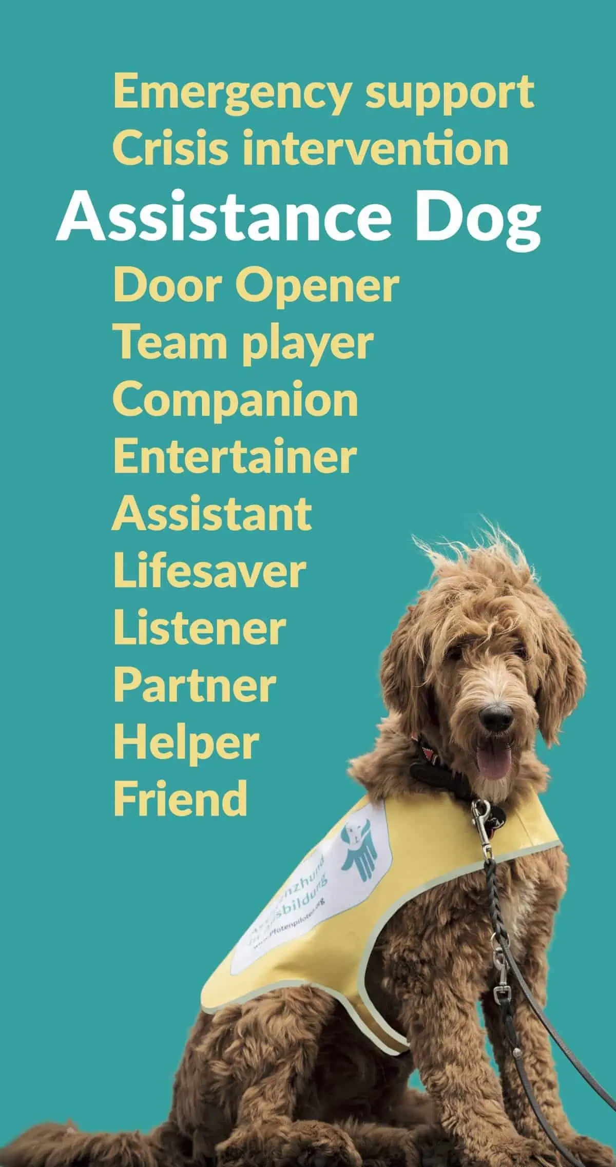 Image Assistance dog Synonyms Image Assistance dog Synonyms